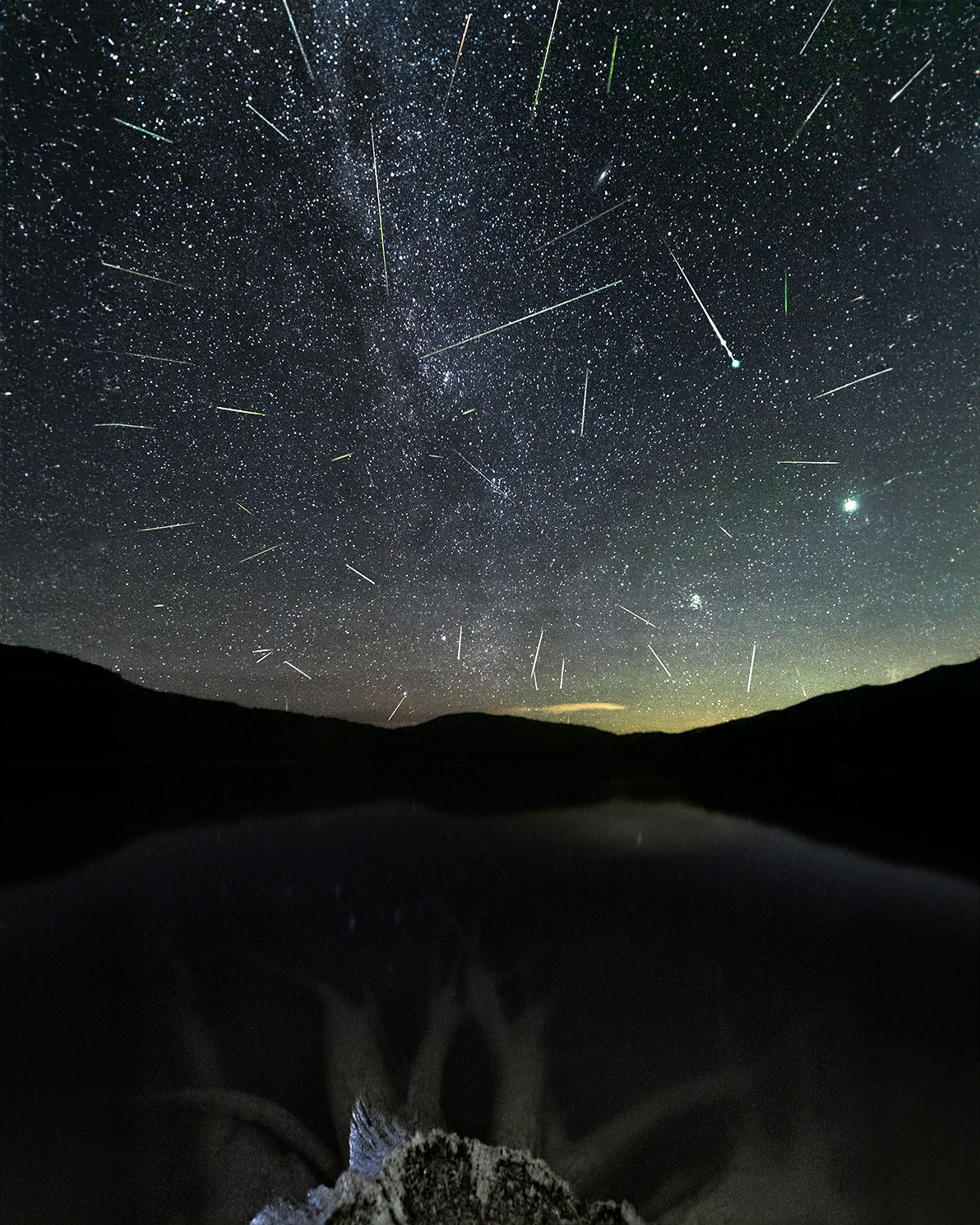 Meteor Shower Lights Up Skies Over Western Montana, Alberta, and Idaho