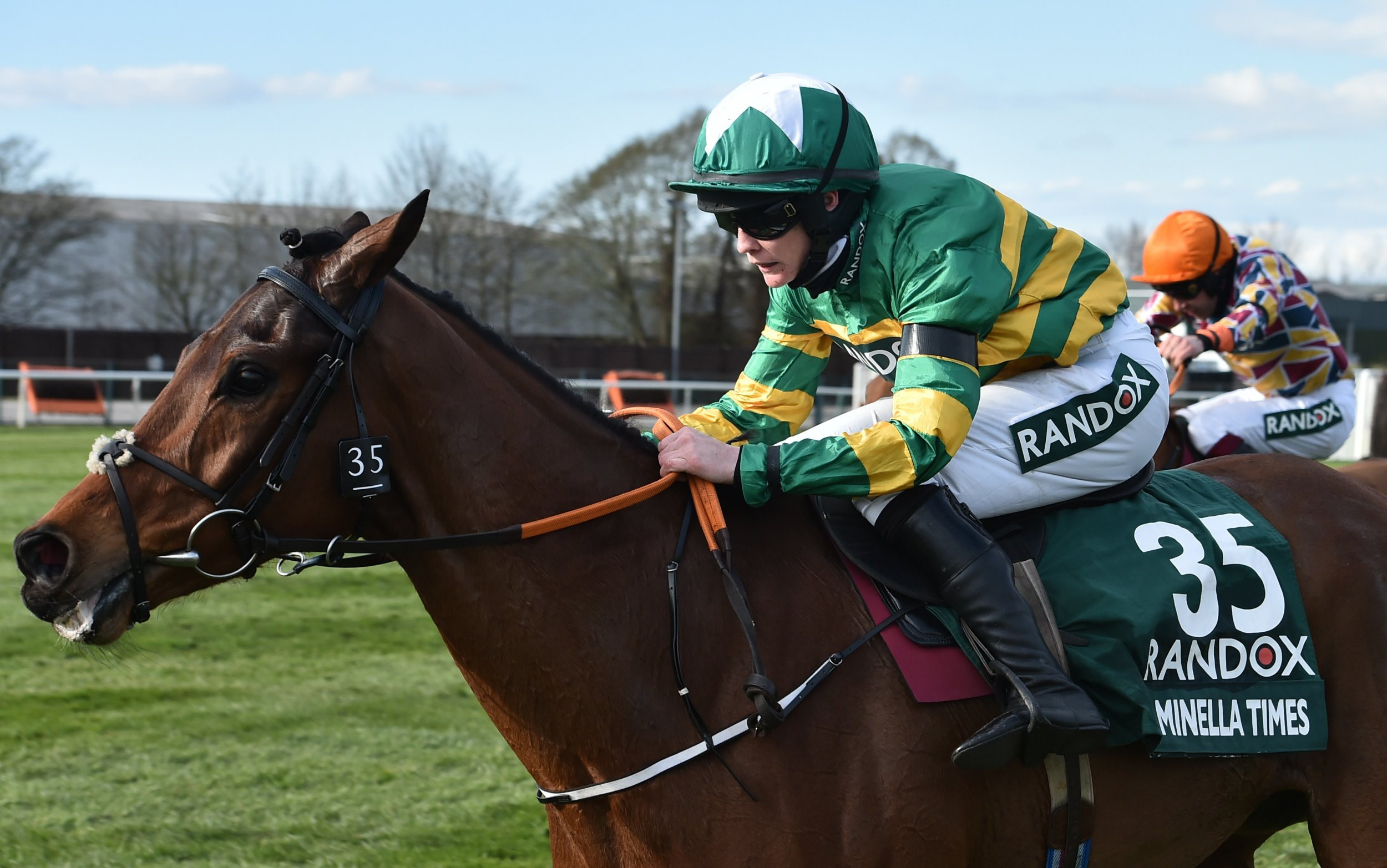 Minella Drama Wins Old Roan Chase at Aintree: McCain's Horse Makes All the Running for a Deserved Victory