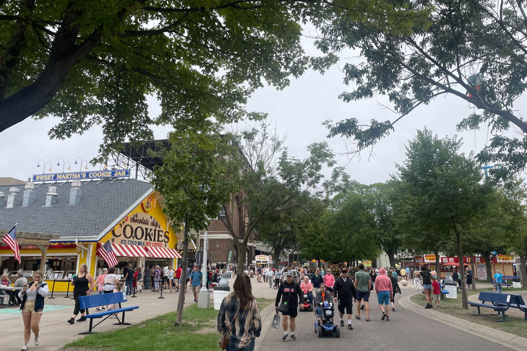 Minnesota State Fair Oysters: Are They Worth the Hype?