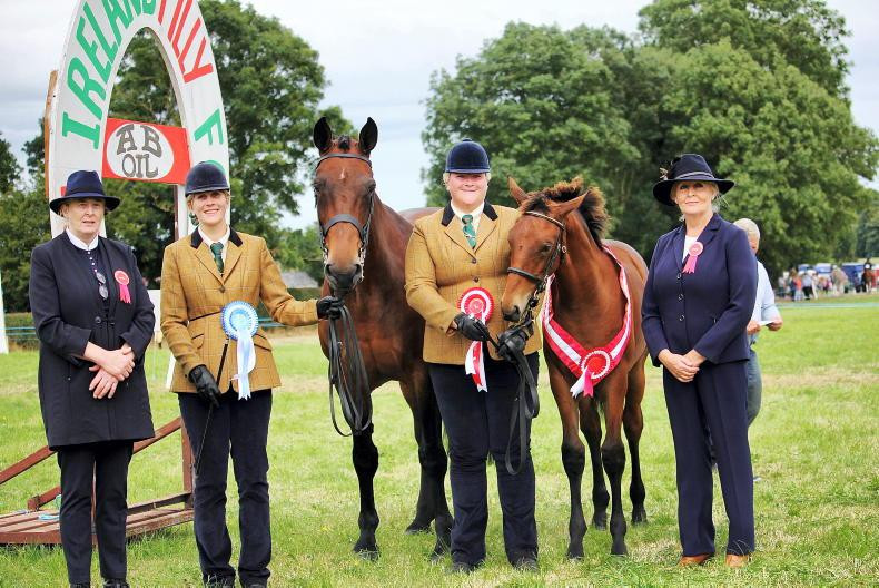 Moate Show 2024: All-Ireland Filly Foel Final, National Vegetable Society Championships & More!