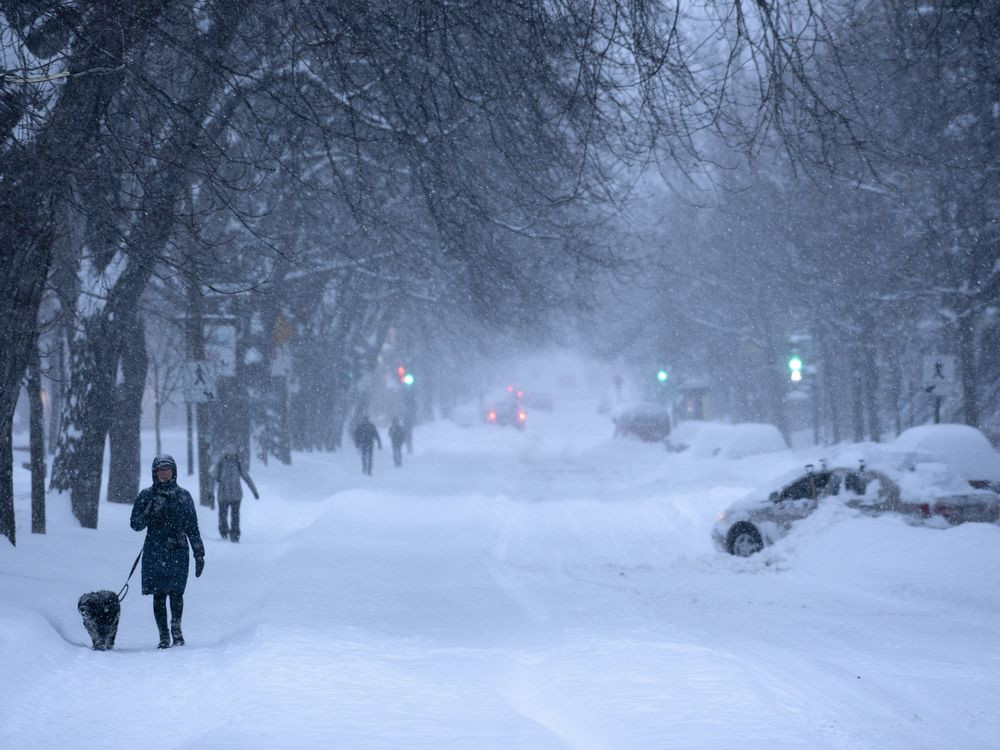 Montreal's First Snowfall: A Blizzard is Coming This Week!