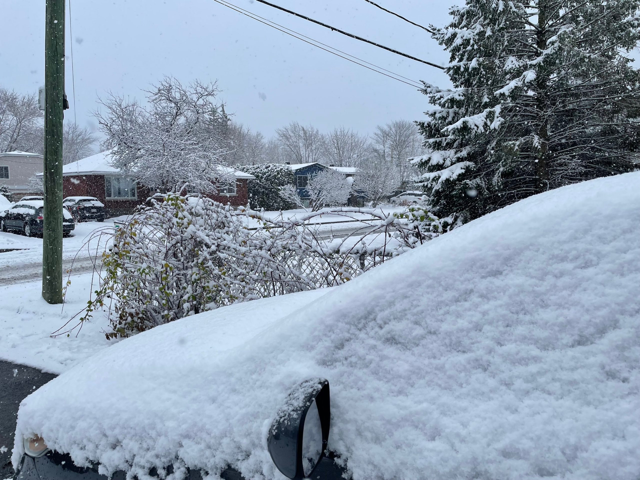 Montreal's First Snowfall: A Blizzard is Coming This Week!