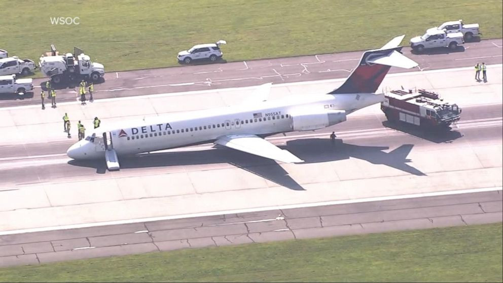 Mouse on a Plane: Emergency Landing After Rodent Jumps Out of In-Flight Meal