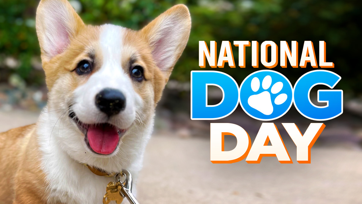 National Dog Day 2024: Celebrate Your Furry Friends With These Awesome ...