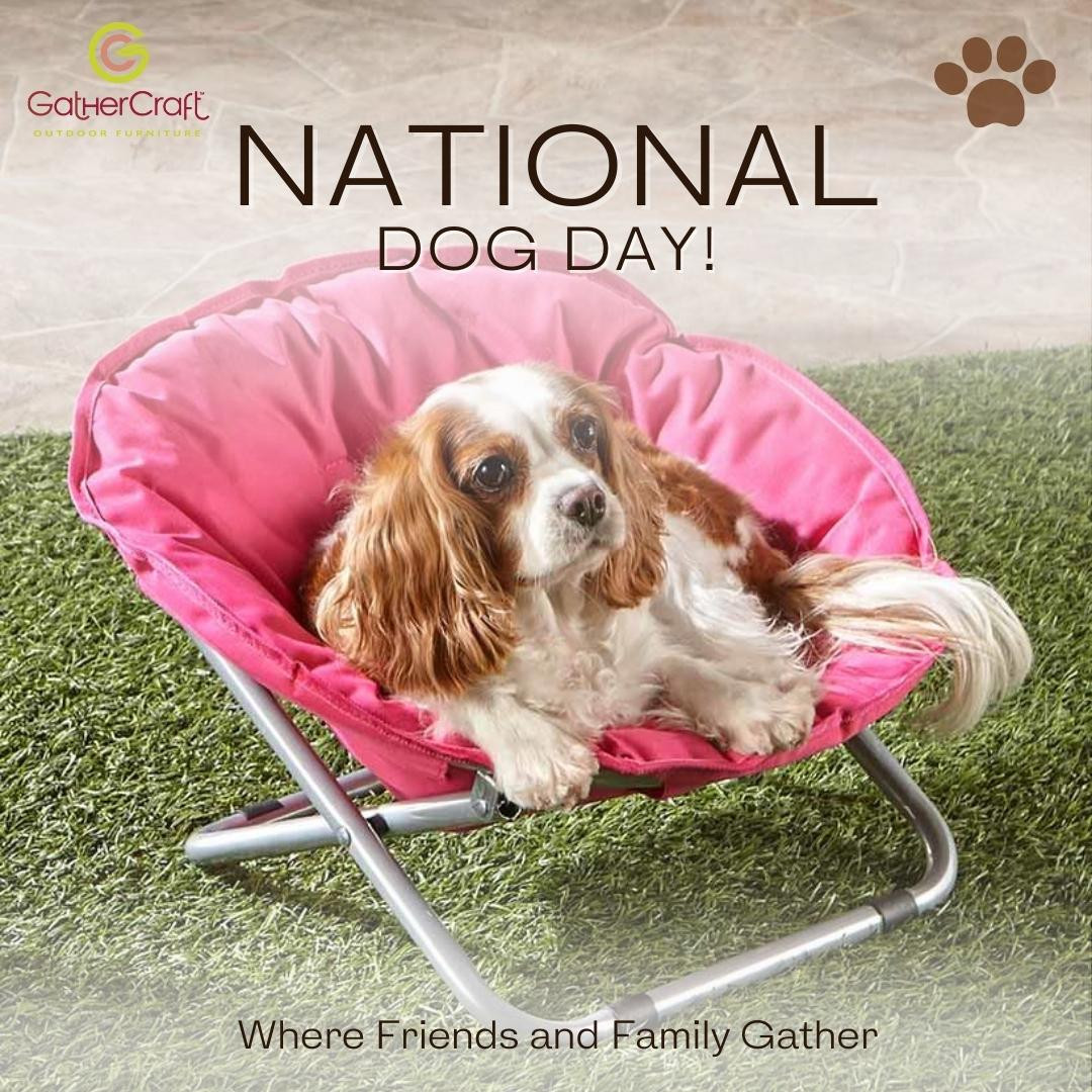 National Dog Day 2024 Celebrate Your Furry Friends With These Awesome