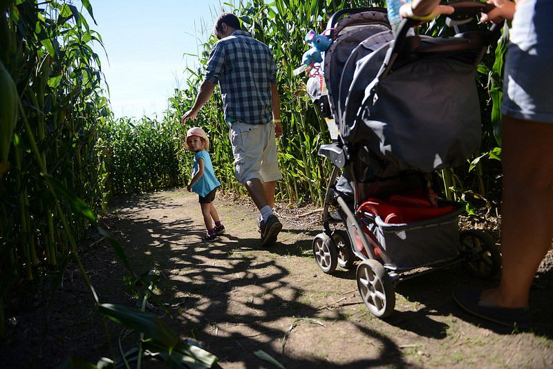 New Outdoor Attractions in Norfolk This Summer: Maize Mazes, Mini Golf and More