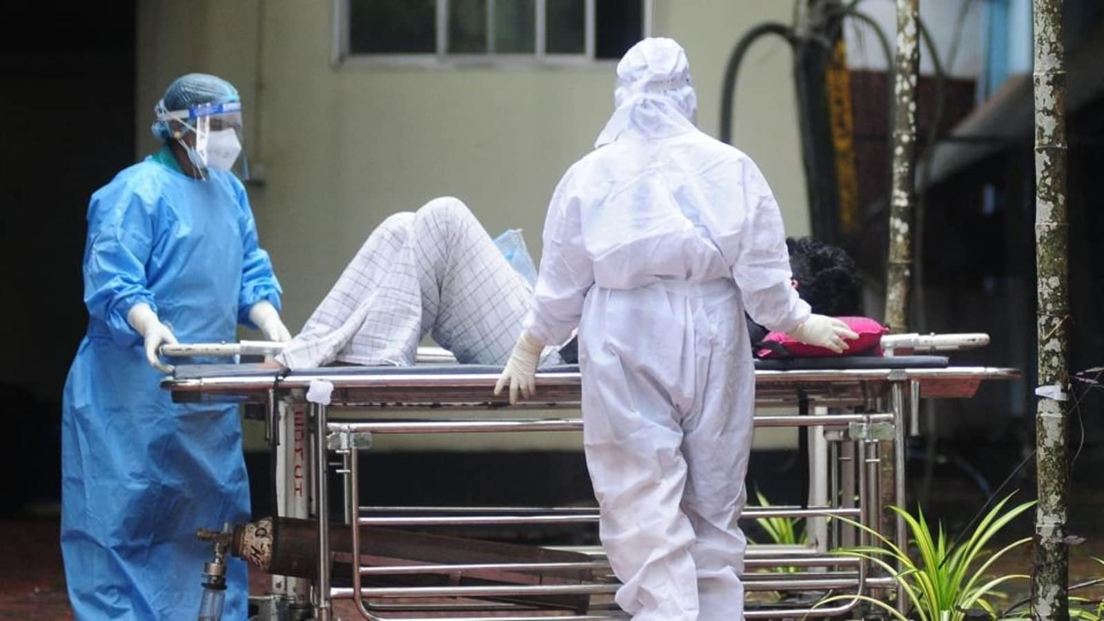 Nipah Virus: Kerala on High Alert as 24-Year-Old Student Dies, Over 150 People Under Observation