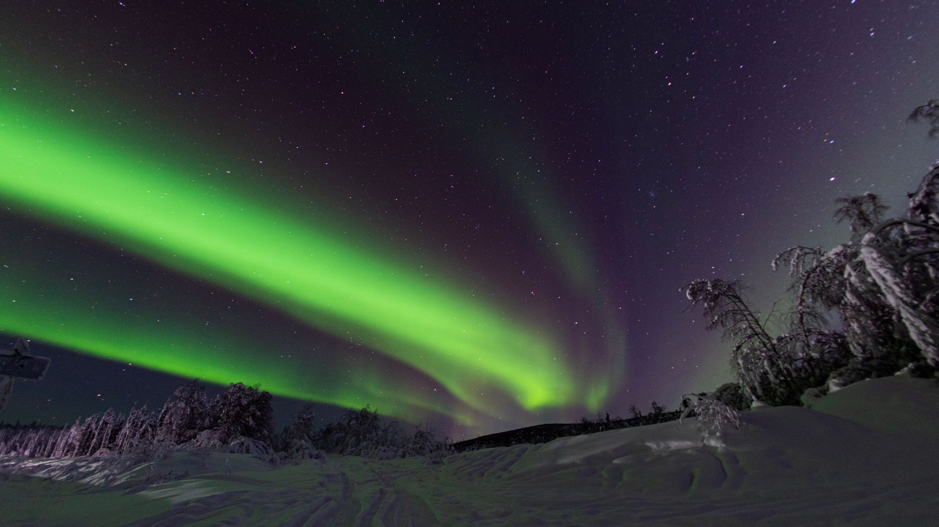 Northern Lights Alert: 17 US States Could Witness the Stunning Aurora Borealis Tonight