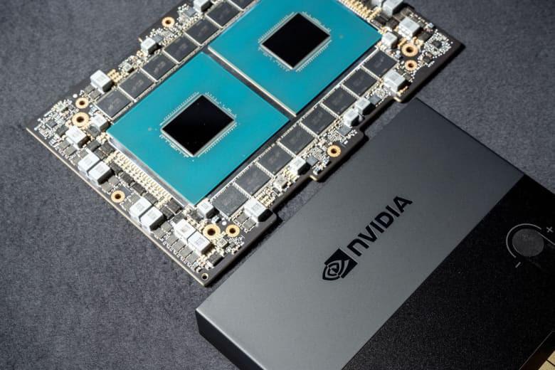 Nvidia's Stock Plunges Despite Record Sales: What Went Wrong?