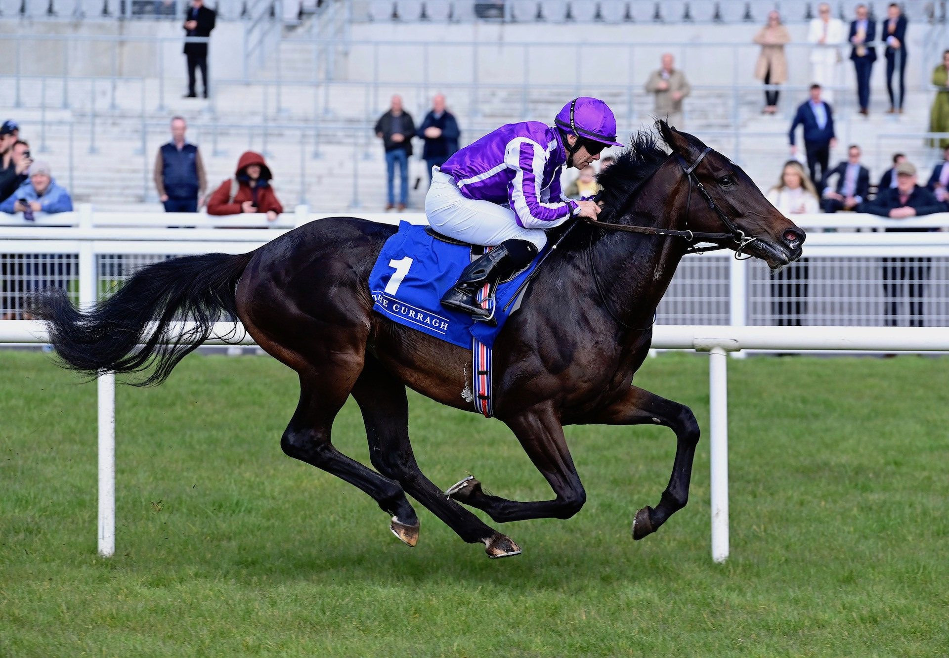 Officer, Dubawi Son of Hydrangea, Wins Debut at The Curragh: Ballydoyle Colt's Promising Start