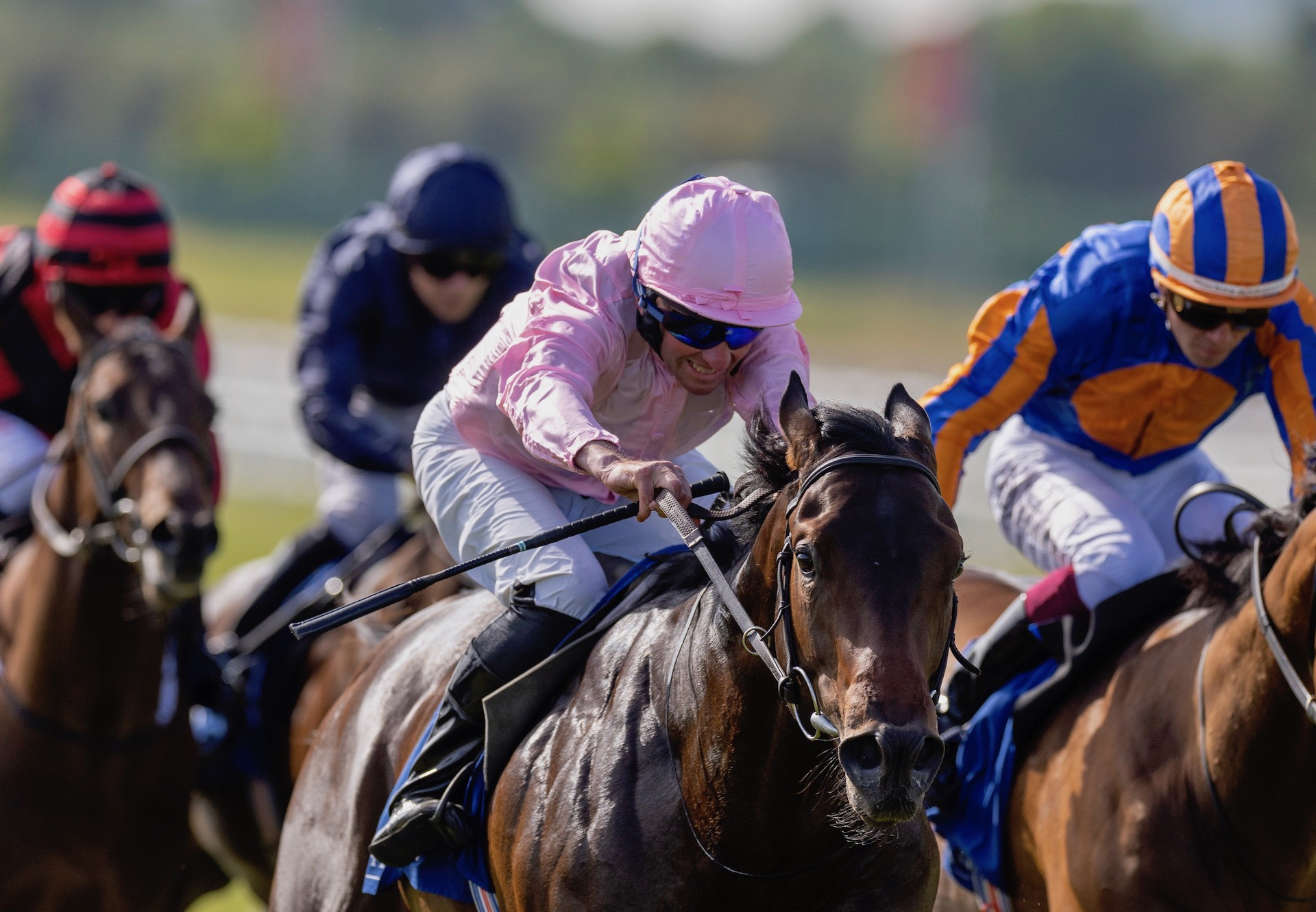 Officer, Dubawi Son of Hydrangea, Wins Debut at The Curragh: Ballydoyle Colt's Promising Start