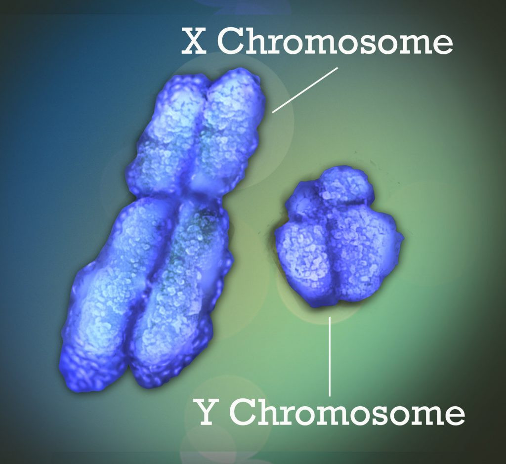 Olympic Boxers With XY Chromosomes: What Are Differences In Sex Development?