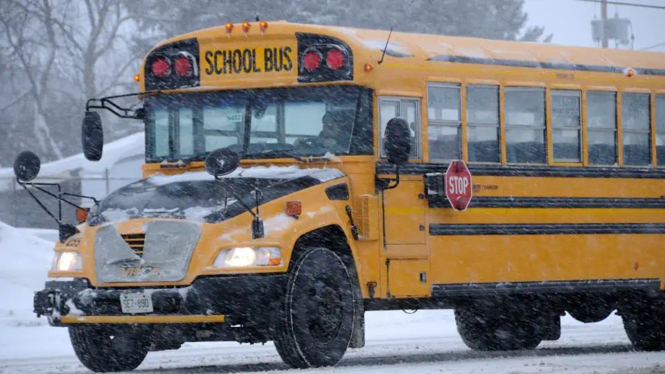 Ontario School Bus Cancellations: Snow Day Chaos Grips Southern Ontario!