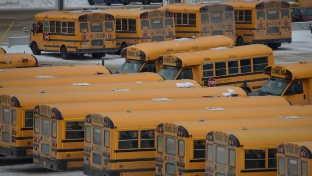 Ontario School Bus Chaos: Cancellations and Delays Rock Northeastern Schools!