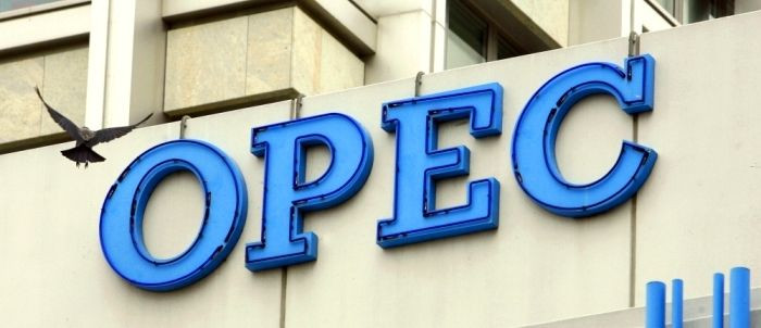 OPEC's Next Move: What's Influencing Oil Prices in 2024?