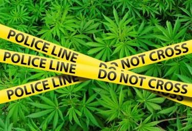 Over 1,000 Illegal Cannabis Shops Shut Down in New York: A Crackdown on Illicit Marijuana Sales