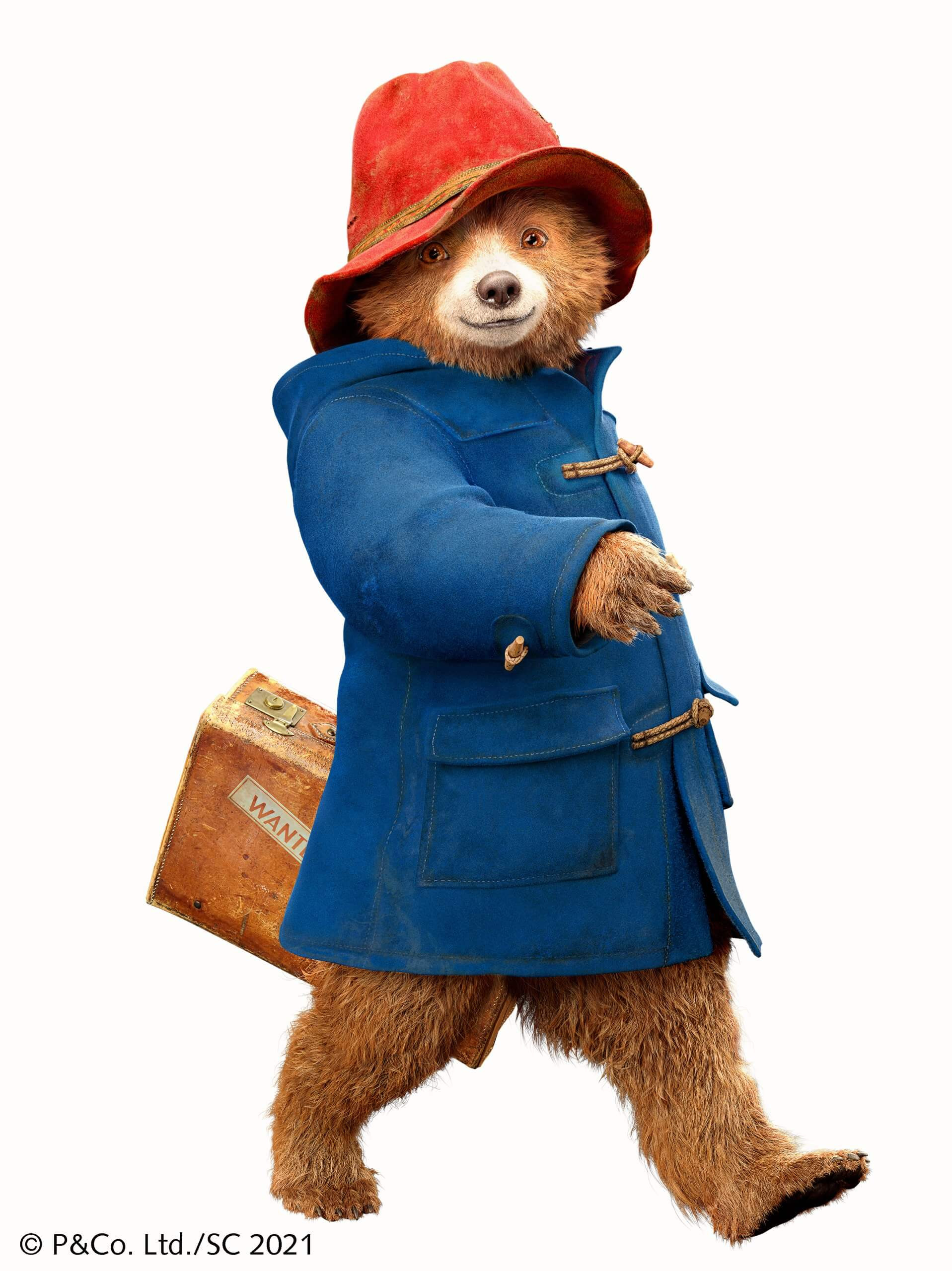 Paddington's Journey from Beloved Bear to Global Icon: A Look at the Evolution of a British Legend