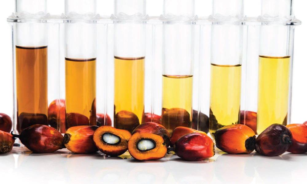 Palm Oil-Based Oleochemicals Market: Booming Demand Fuels Explosive Growth