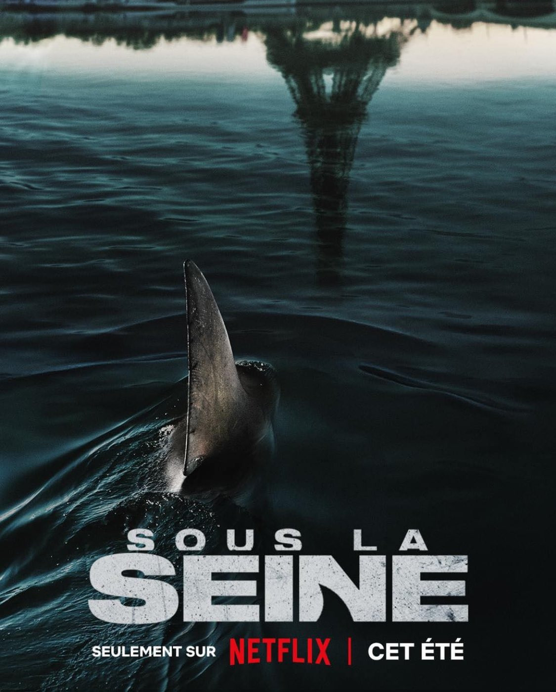 Paris Shark Week 2024: Dive Into the First Film Festival Dedicated to Sharks