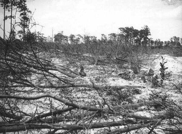 Pensacola Buried Under Historic Snowfall: Record-Breaking Blizzard Blankets Florida Panhandle