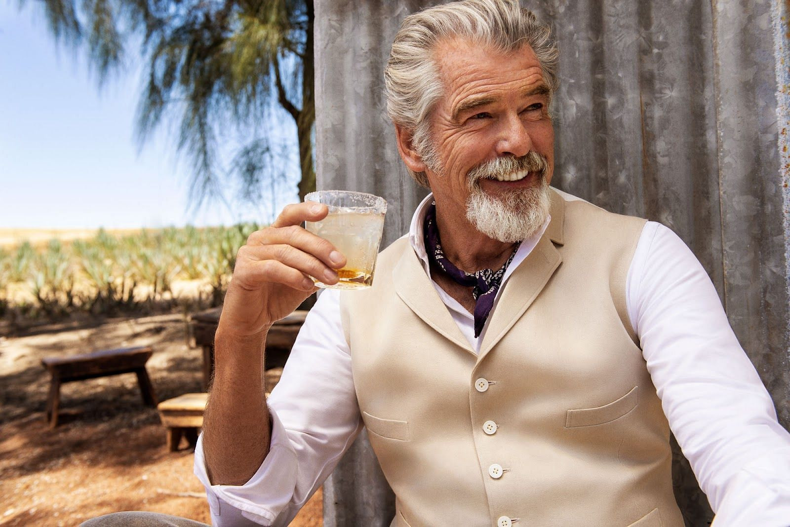 Pierce Brosnan's Armani Look Sparks Captain Birdseye Comparisons: Is This the Most Unexpected Fashion Collab?