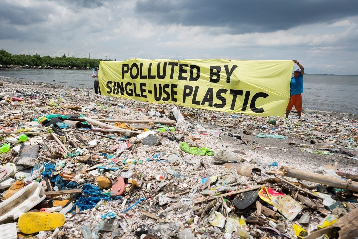 Plants Can Now Eat Plastic: Scientists Discover New Way to Fight Pollution