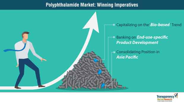 Polyphthalamide Market: A US$1.6 Billion Boom by 2030 Driven by Automotive and Electronics Demands