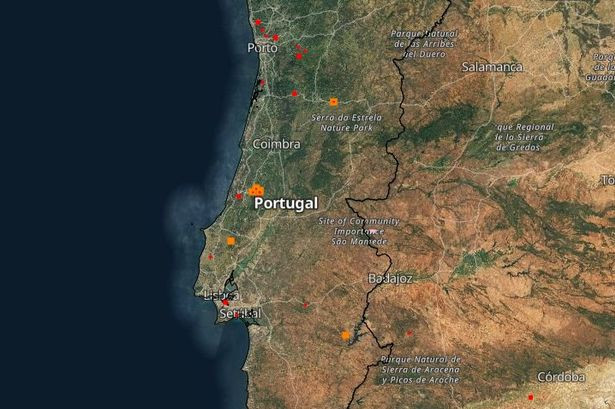 Portugal Asks EU for Help as Wildfires Burn Homes in Aveiro Region