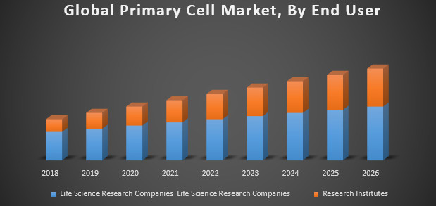 Primary Cells Market to Reach US$1.8 Billion by 2030: Driven by Personalized Medicine and Advancements in 3D Cell Culture