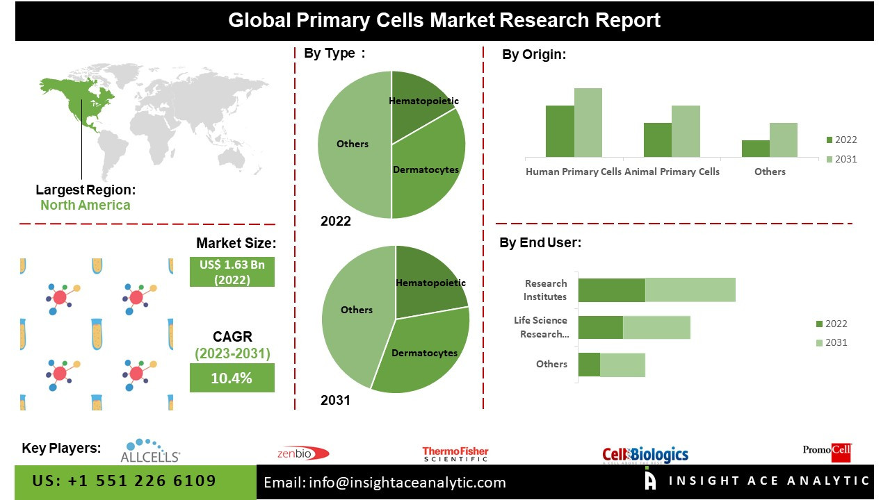 Primary Cells Market to Reach US$1.8 Billion by 2030: Driven by Personalized Medicine and Advancements in 3D Cell Culture