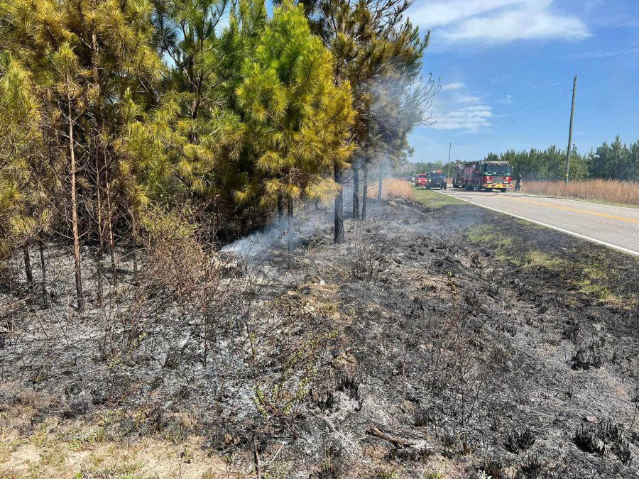 Prospect Park Wildfire: Dry Conditions Ignite Two-Acre Blaze in Brooklyn Oasis