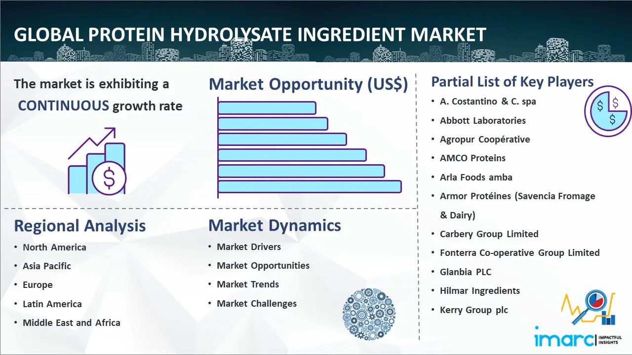 Protein Hydrolysate Ingredient Market to Reach US$1.4 Billion by 2034: Key Players & Growth Drivers