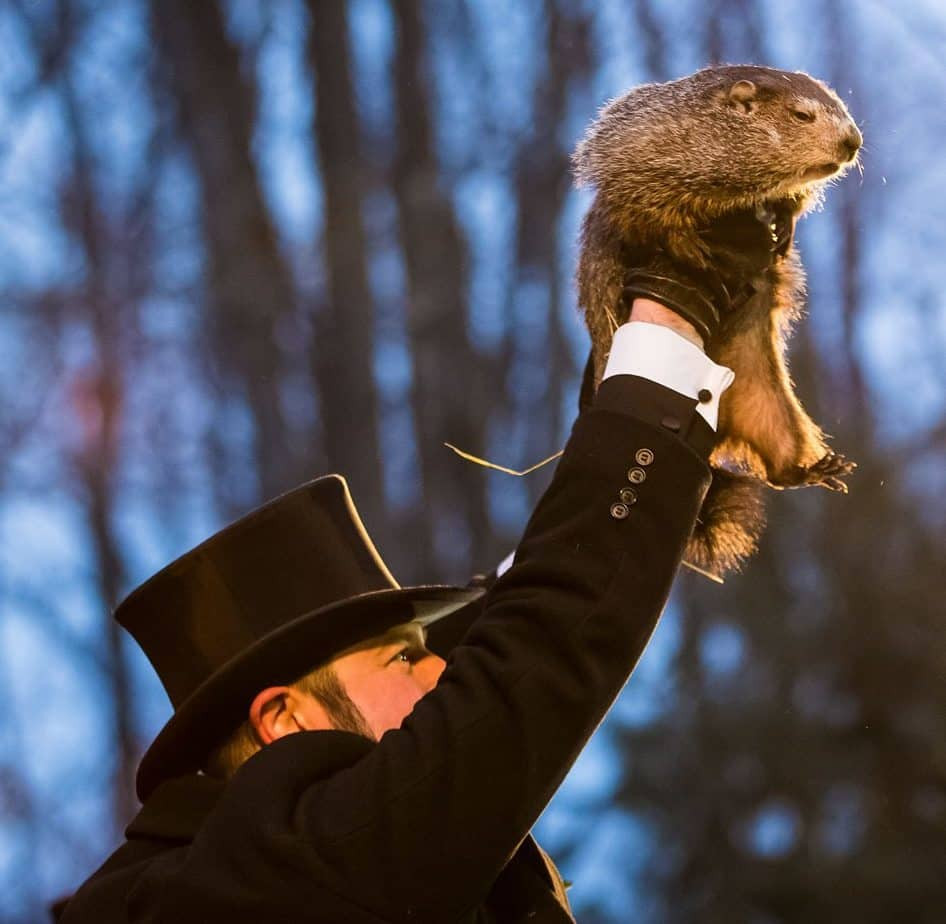 Punxsutawney Phil's SHOCKING Groundhog Day 2025 Prediction: Six More Weeks of Winter?