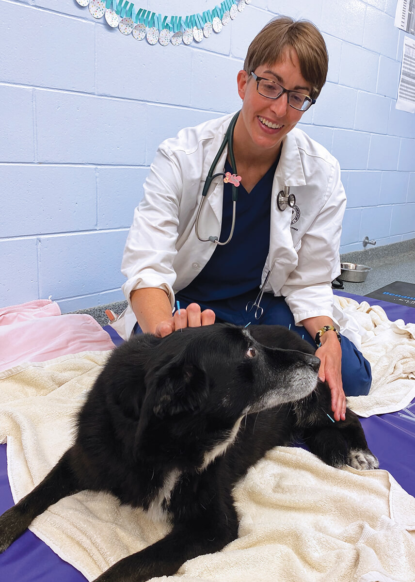 Purdue Veterinary Medicine: Celebrating Achievements, Welcoming New Faces, and Saying Goodbye to a Beloved Alumna