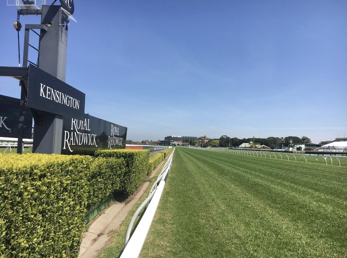 Randwick-Kensington Race Tips: Free Tip Sheet & Staking Plan for Wednesday 11th September