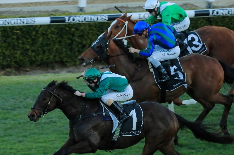 Randwick-Kensington Race Tips: Free Tip Sheet & Staking Plan for Wednesday 11th September