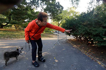 RFK Jr. Confesses to Dumping Dead Bear Cub in Central Park, Claims It Was a Joke