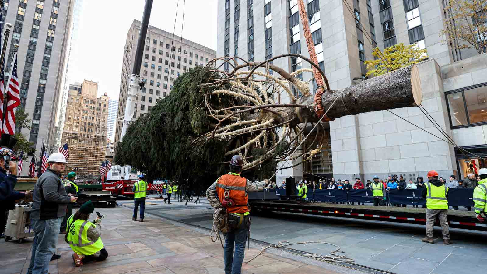 Rockefeller Center Christmas Tree 2024: A Giant Spruce From Massachusetts