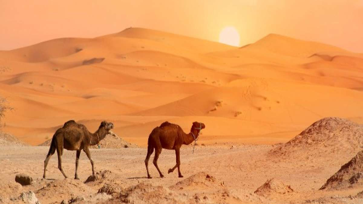 Sahara Desert to Experience 500% Increase in Rainfall:  Rare Event Sparks Climate Change Concerns