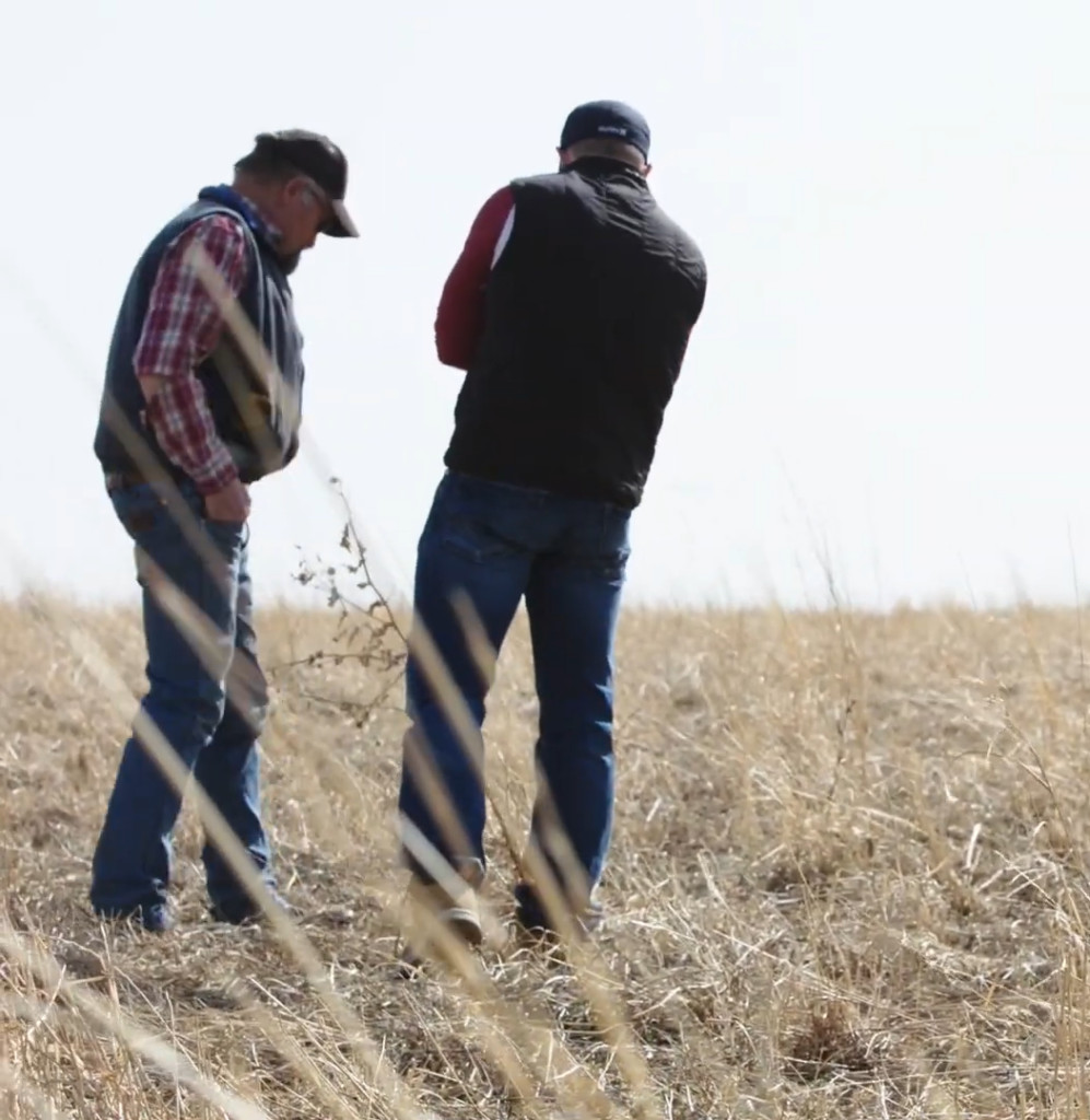 Saskatchewan Researcher Honored for Outstanding Beef Cattle Innovation