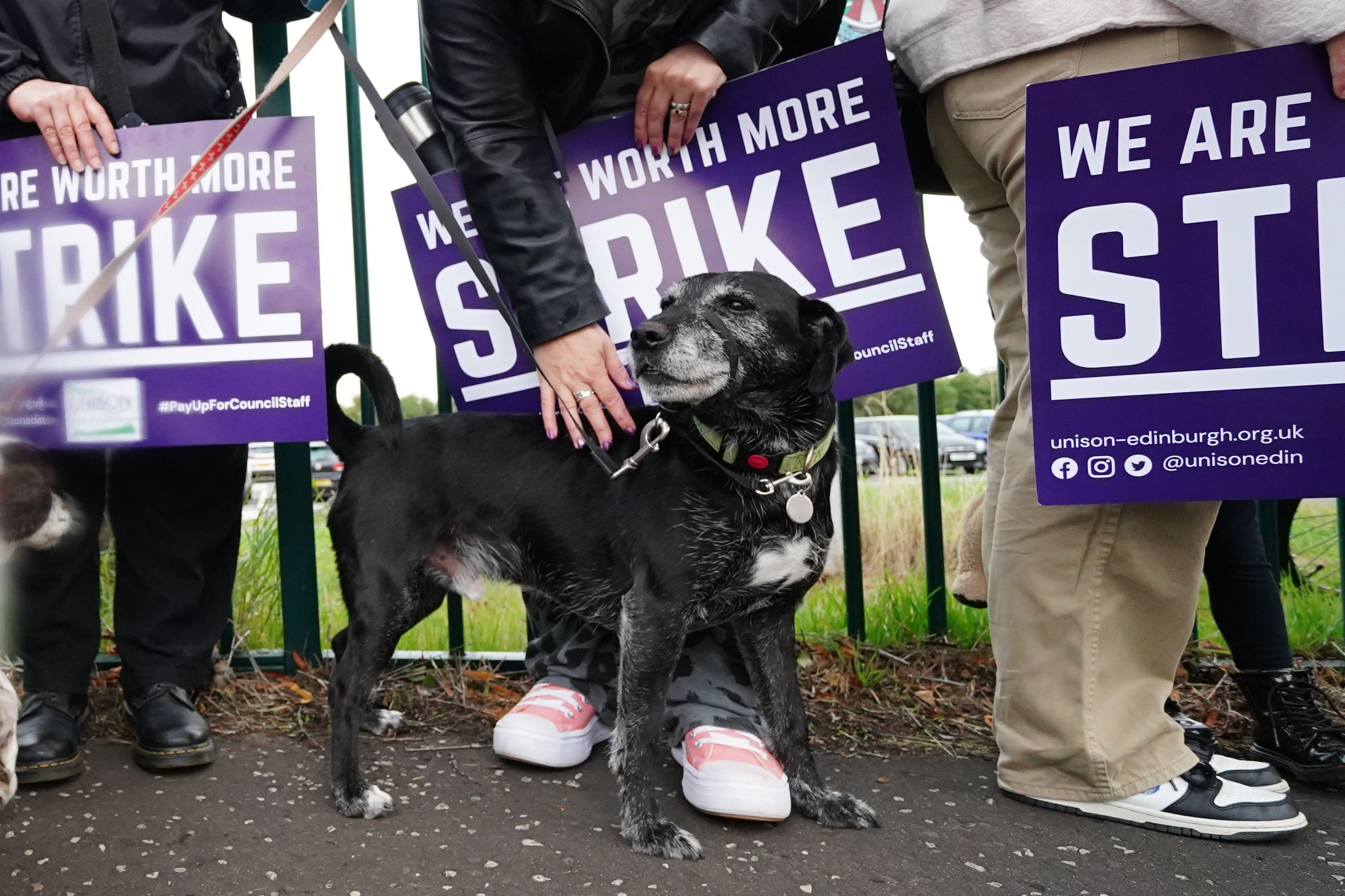 School Support Workers in Northern Ireland End Strike After Securing Pay Deal