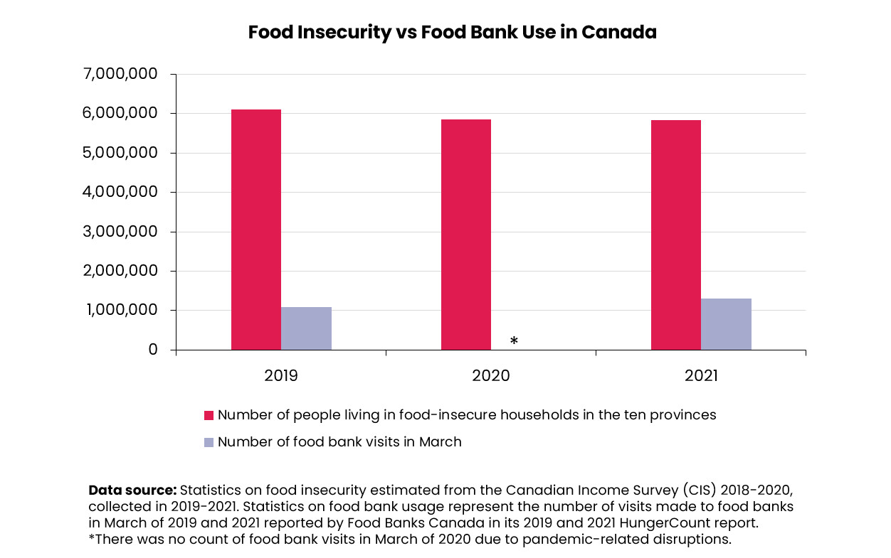 Scurvy in Canada: A Modern-Day Warning About Food Insecurity