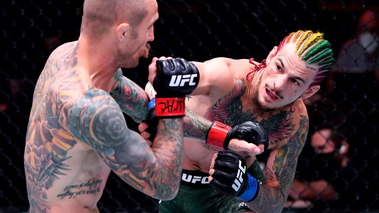 Sean O'Malley: The Rise of the UFC's Most Extravagant Champion