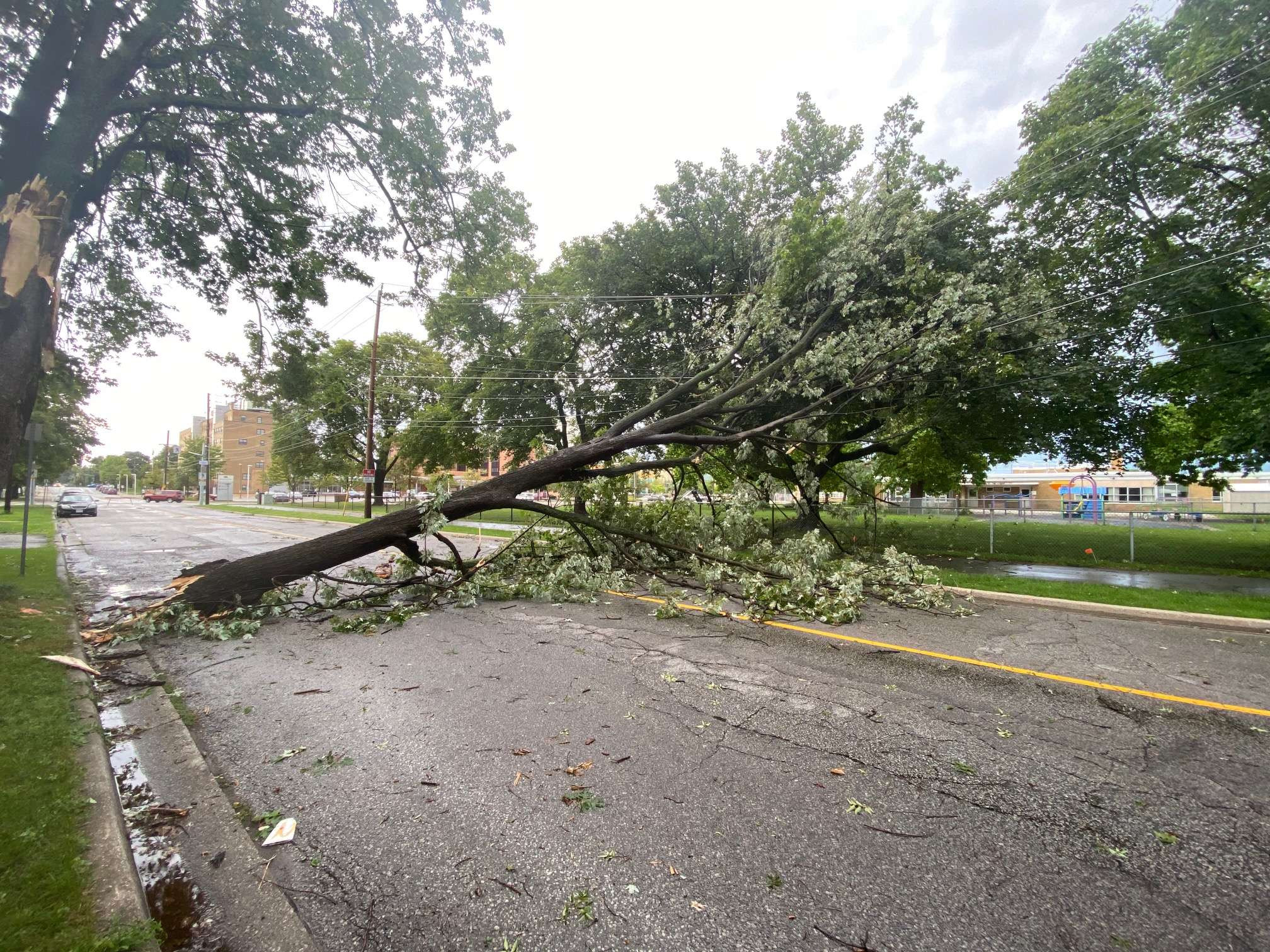 Severe Thunderstorm Warning Issued for Southwestern Ontario: Tornadoes Possible