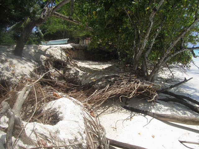 Seychelles Prepares for COP 16 on Biodiversity: Key Role for Climate Change