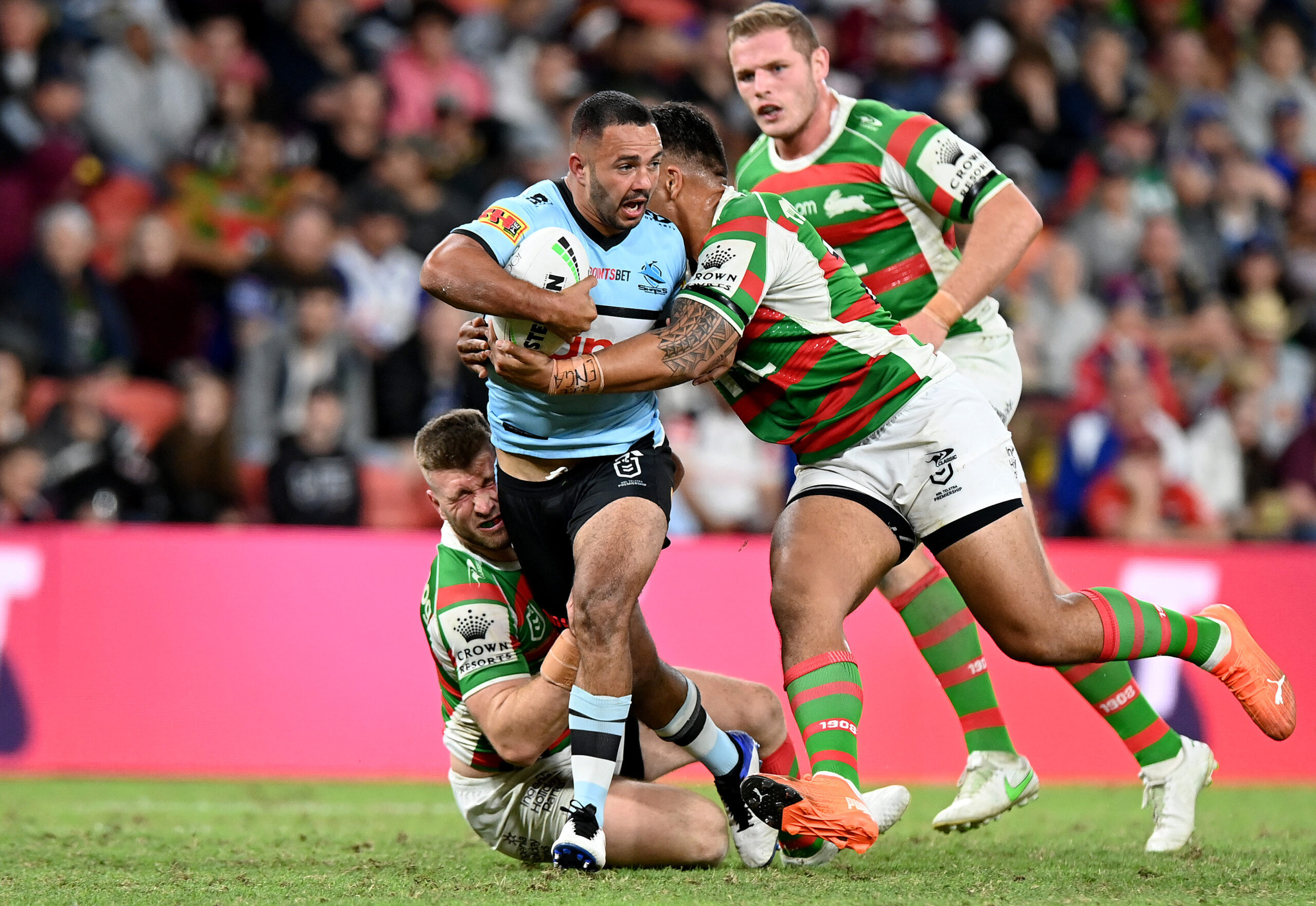 Sharks V Rabbitohs: Trindall Injured in Crucial Win as Rabbitohs' Finals Hopes Fade