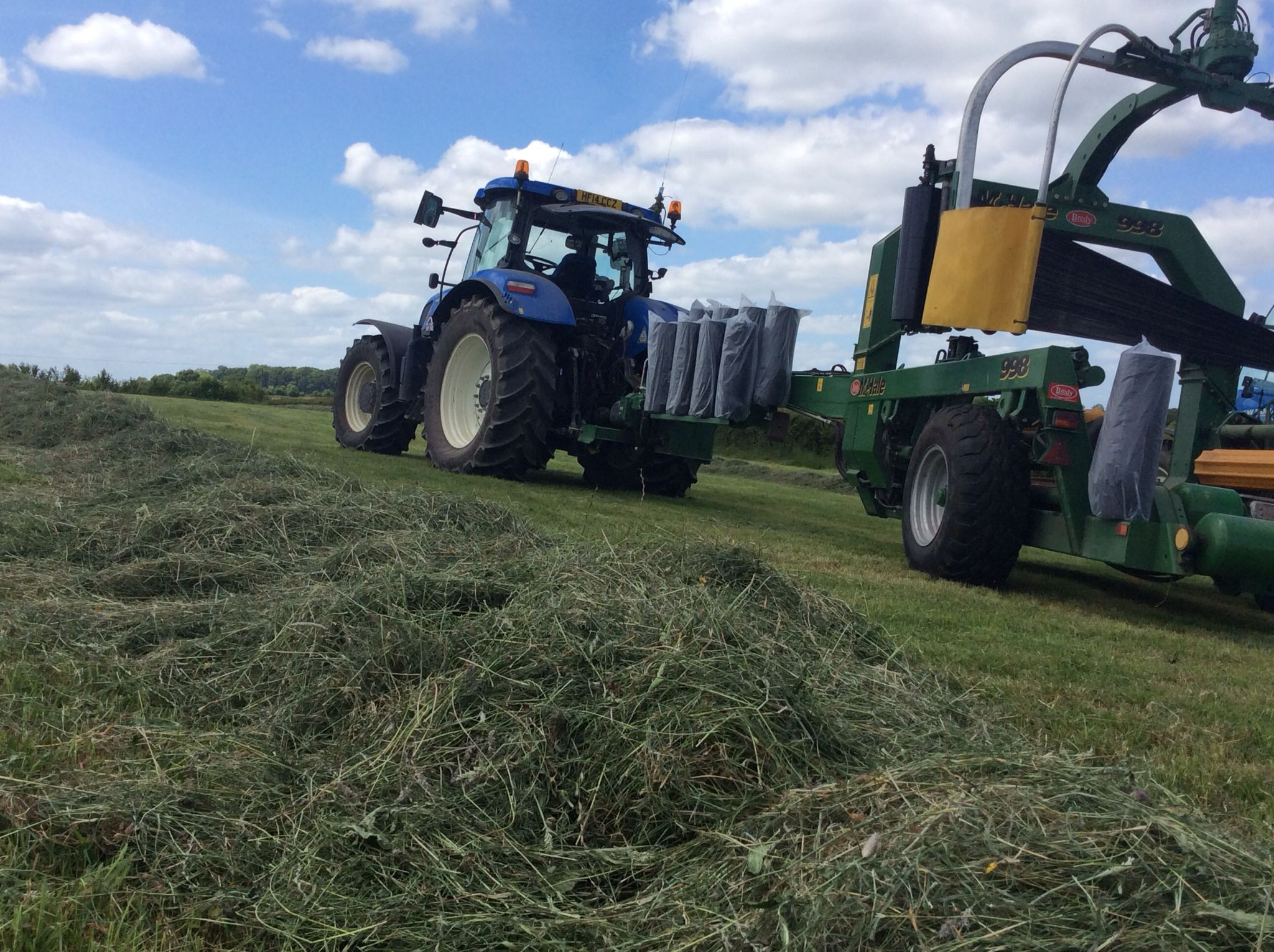 Silage Testing: The Key to Success in Winter Housing for Cattle