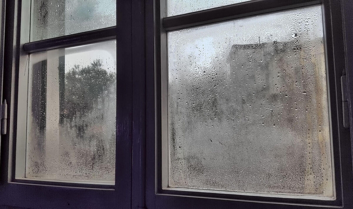 Simple Hack to Get Rid of Condensation and Prevent Mould in Your Home