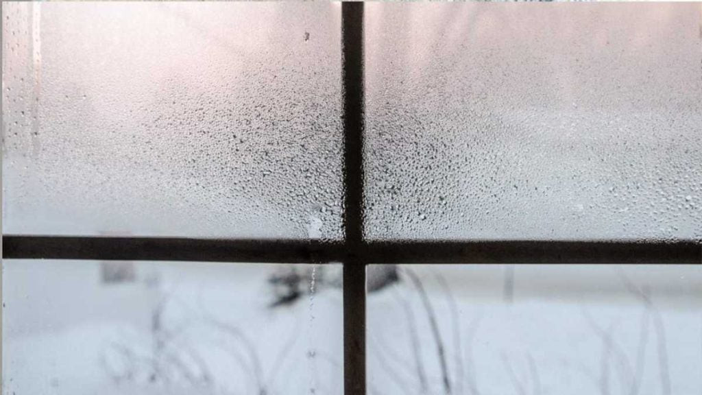 Simple Hack to Get Rid of Condensation and Prevent Mould in Your Home