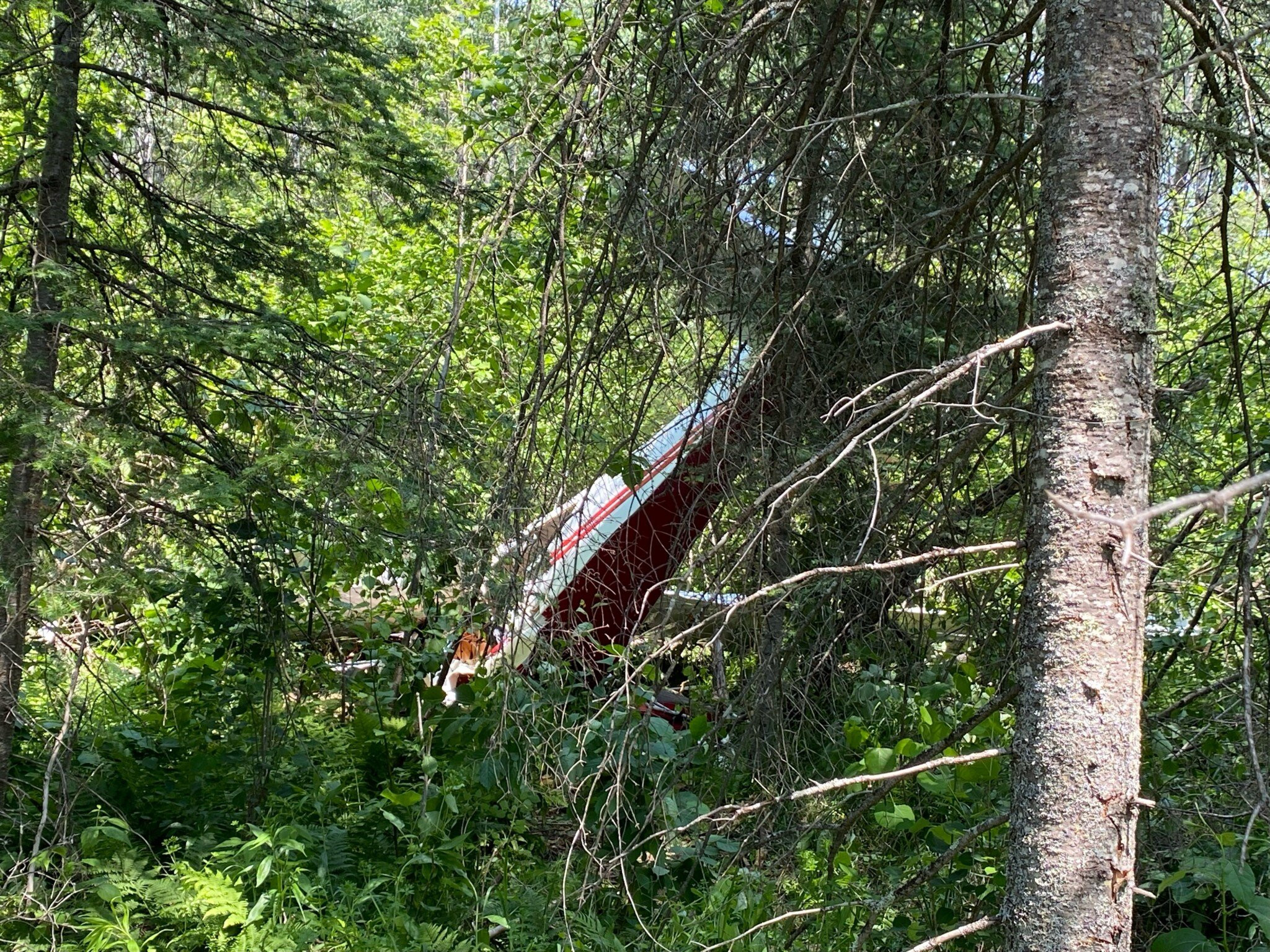 Small Plane Crash in Roselle, Illinois: Two Occupants Walk Away Uninjured